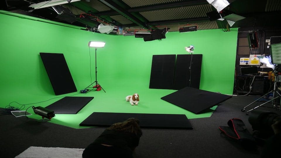 Its a dogs life at Galleon studios image