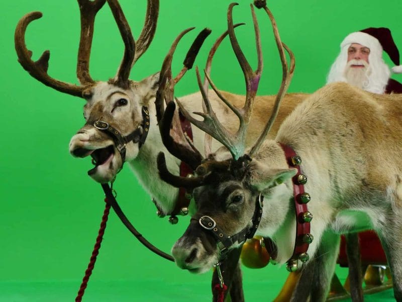 Santa with reindeer in Christmas sleigh scene at Galleon Studio Hire.